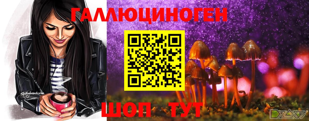 Муравленко  Галлюциногенные грибы мухоморы  Вход с VPN 